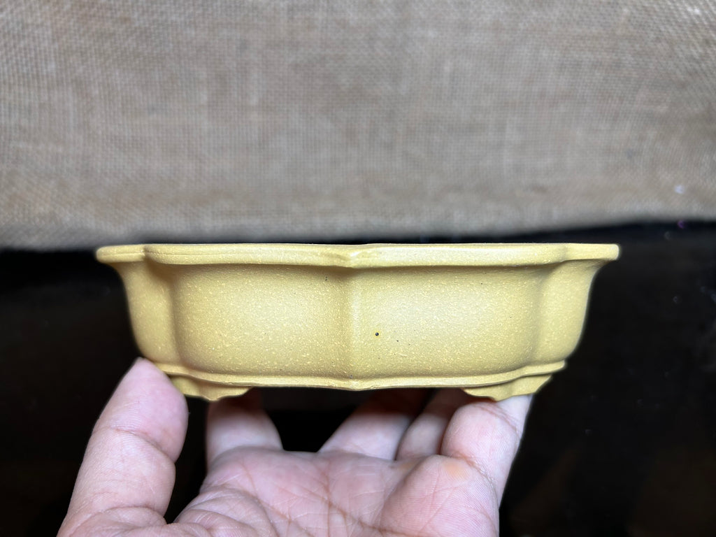 Handmade bonsai  pot, oval pot , cloud shape, Ceramic, Hand-engraved,  size 6.5"