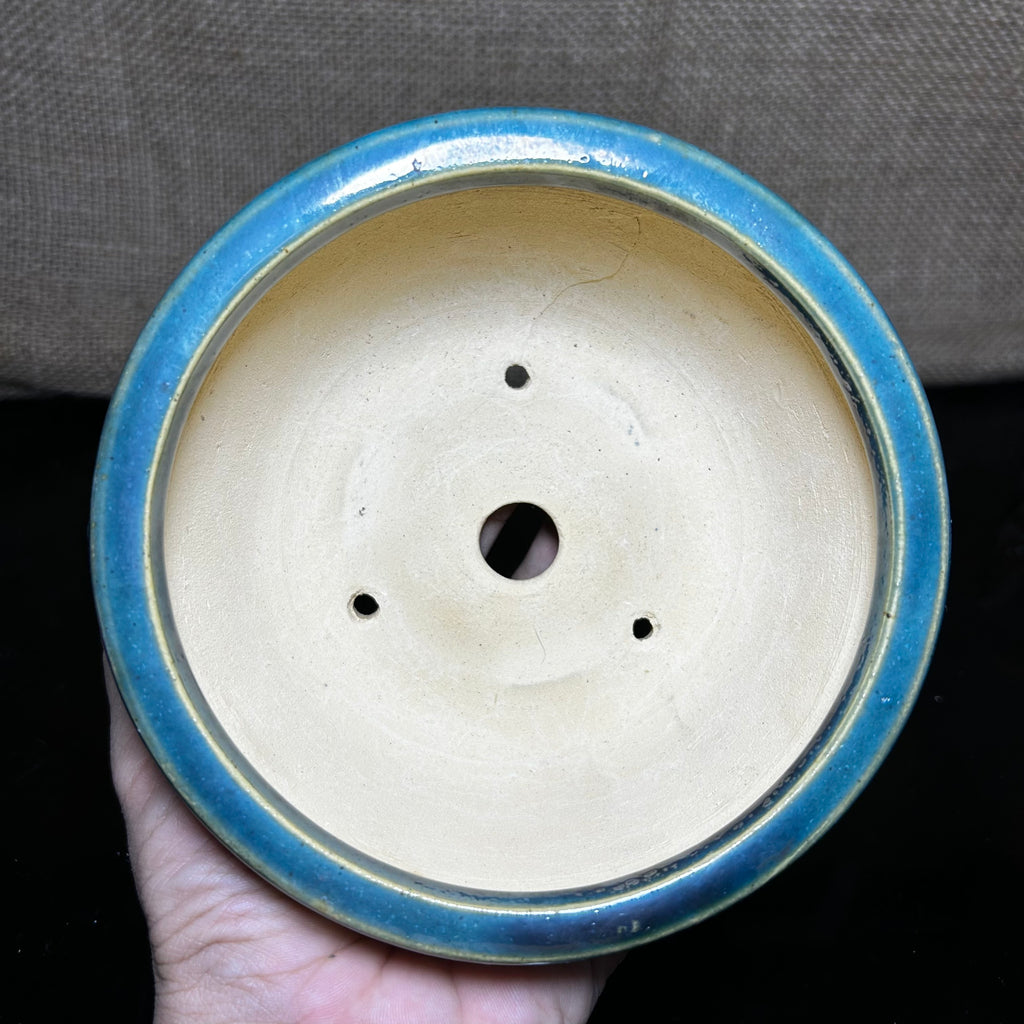 Unique Bonsai tree pot, colorful flower carving and craft,  shohin size 5.5"